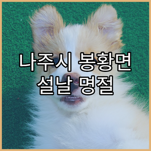 나주시 봉황면 설날 명절 연휴 약국 명절에 열려 있는 약국 위치 한눈에
