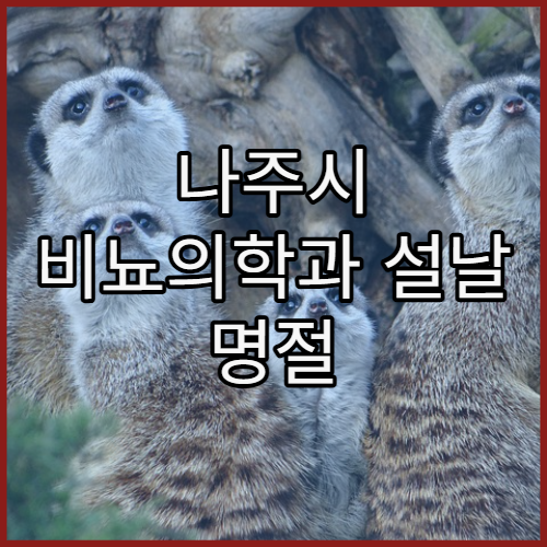 나주시 비뇨의학과 설날 명절 연휴 진료 병원 연휴 중 배뇨 통증·비뇨기 진료 안내