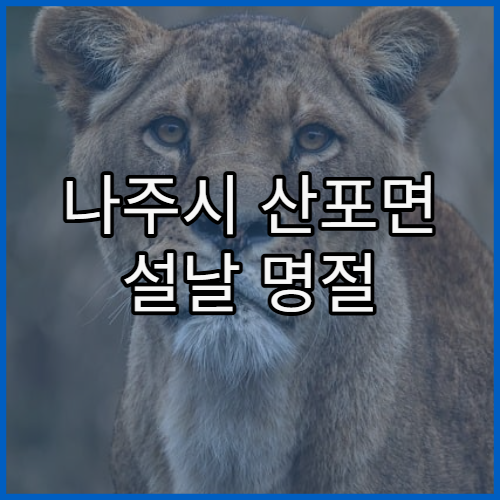 나주시 산포면 설날 명절 연휴 약국 설 명절 공휴일 운영 약국 총정리