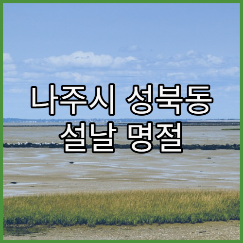 나주시 성북동 설날 명절 연휴 약국 설날·공휴일 운영 약국 최신 정보