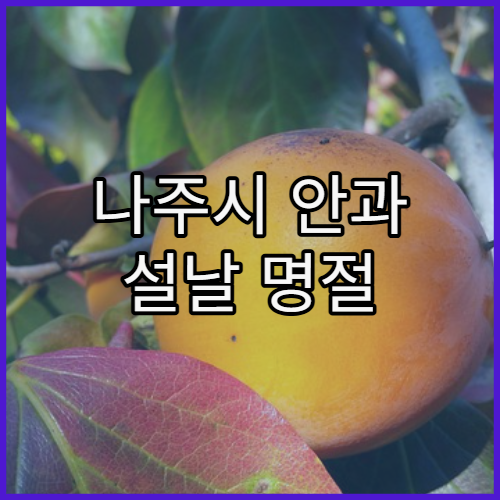 나주시 안과 설날 명절 연휴 진료 병원 설날 눈 통증·충혈 진료 여부 한눈 정리