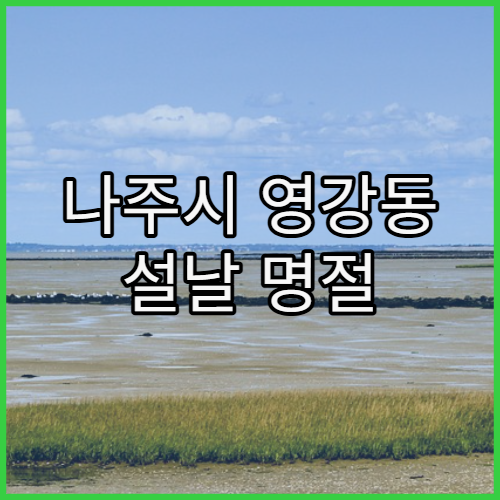 나주시 영강동 설날 명절 연휴 약국 설 연휴에도 문 여는 약국 정보 정리