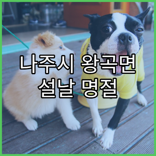 나주시 왕곡면 설날 명절 연휴 약국 연휴 기간 처방전 조제 가능한 약국 정보