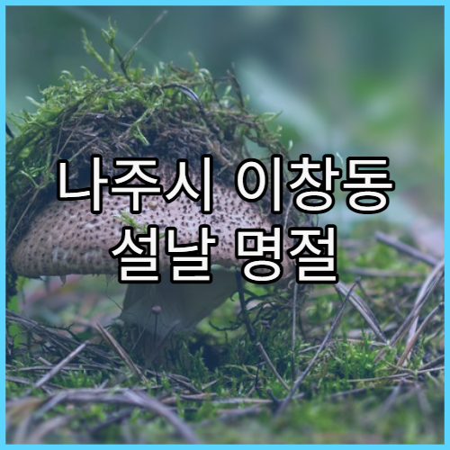 나주시 이창동 설날 명절 연휴 약국 공휴일에도 이용 가능한 약국 안내
