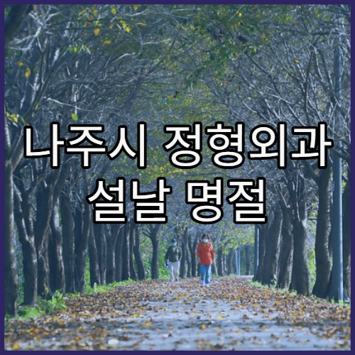 나주시 정형외과 설날 명절 연휴 진료 병원 연휴 중 관절·허리 통증 진료 가능한 곳