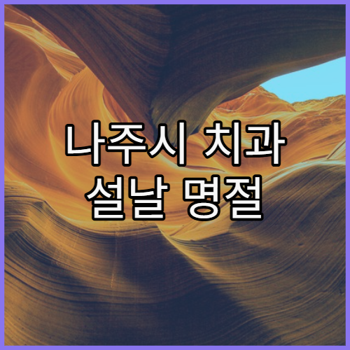 나주시 치과 설날 명절 연휴 진료 병원 설 연휴 치통 응급 진료 가능한 치과 정보