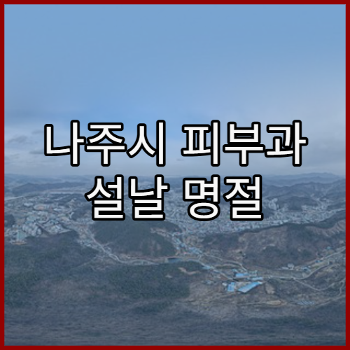 나주시 피부과 설날 명절 연휴 진료 병원 연휴 중 피부 트러블 진료 여부 총정리