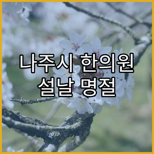나주시 한의원 설날 명절 연휴 진료 설 연휴 침·추나요법 진료 가능한 한방병원